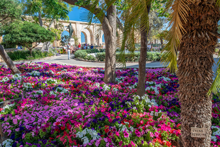 Valletta kann auch farbenfroh: die Upper Barrakka Gardens.