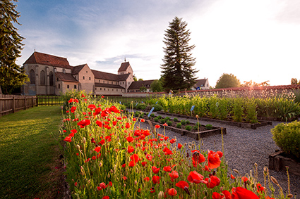 Kräutergarten auf der Insel Reichenau. Foto: Bodenseegärten