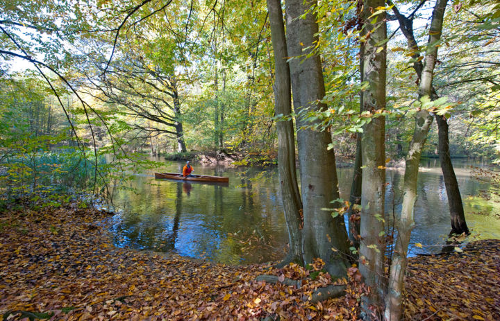 Wer den Spreewald in seiner ganzen Pracht genießen will, kommt am besten im Frühjahr oder im Herbst.