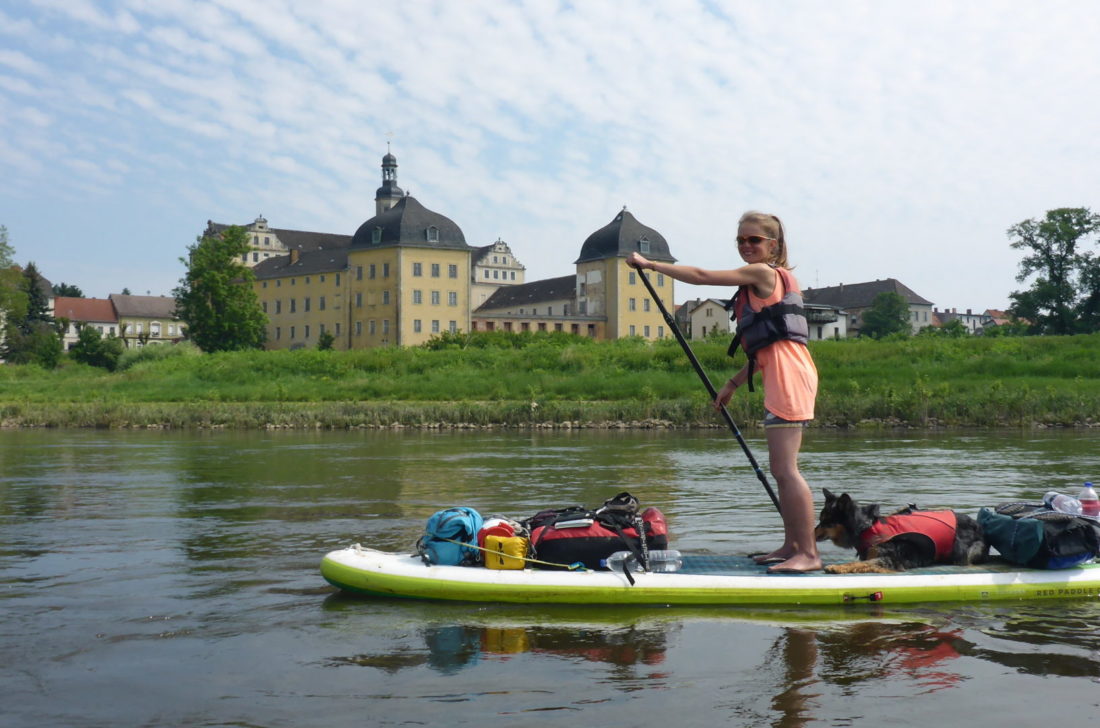 Elbe per SUP